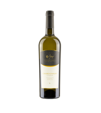 Garda Chardonnay DOC - Cantina Gozzi