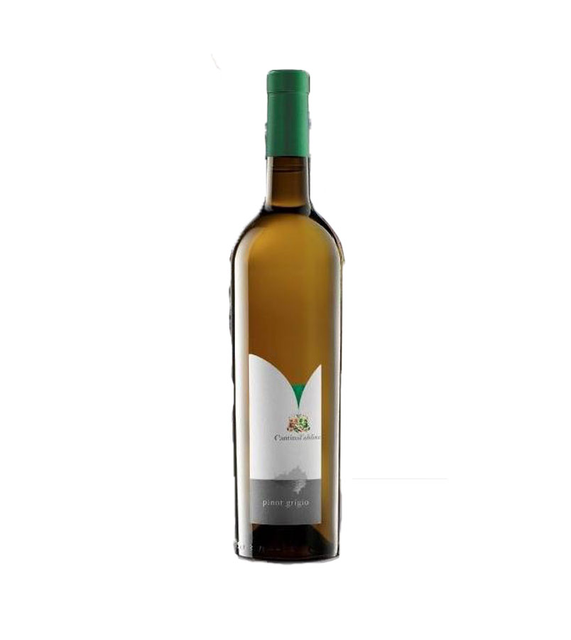 Pinot Grigio 2013 - Cantina Toblino