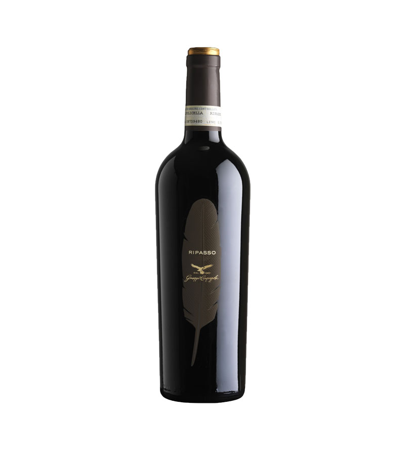 Valpolicella Ripasso DOC 2013 - Campagnola