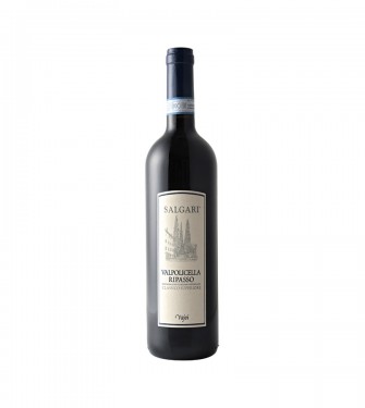 Valpolicella Classico Superiore Ripasso - Salgari