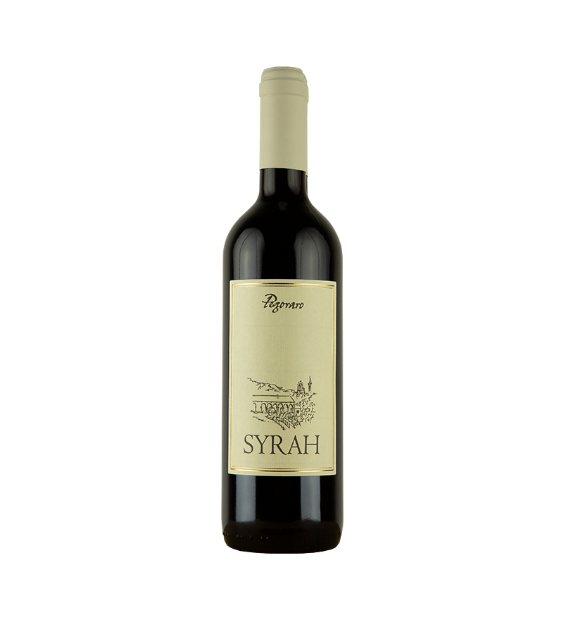 Syrah Veneto IGT Cantina Pegoraro