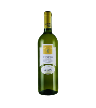 PINOT GRIGIO VENETO IGT