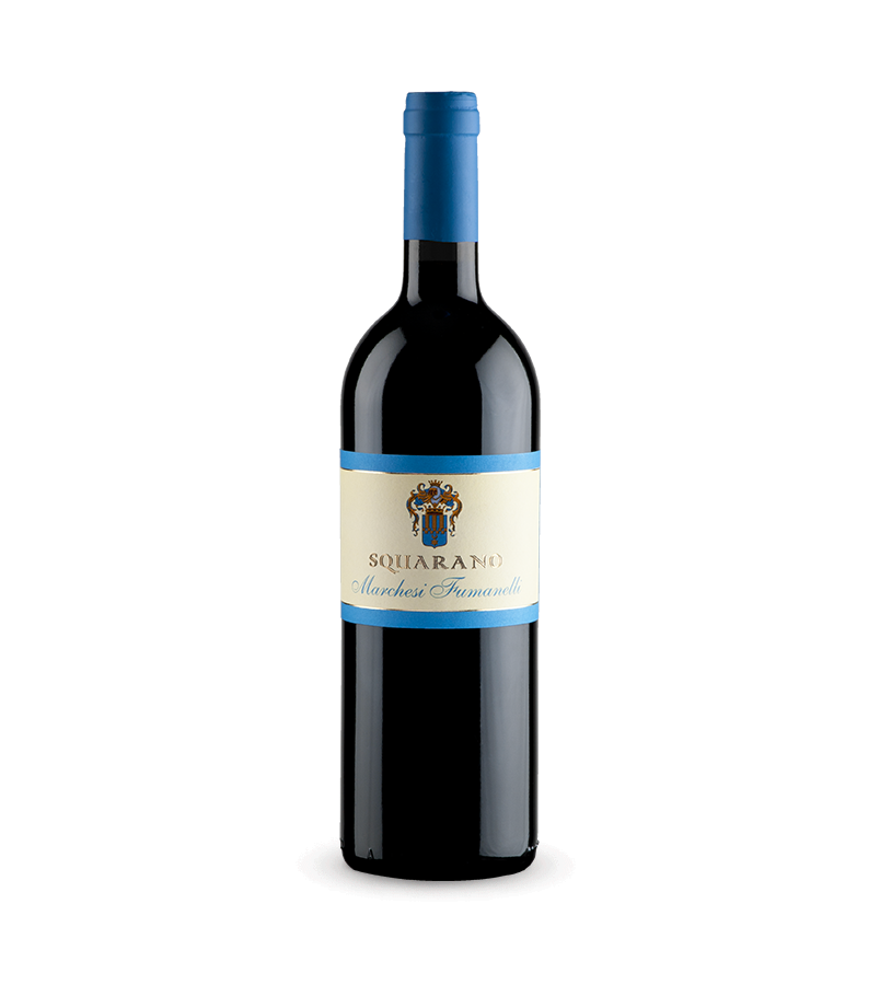 Squarano Valpolicella Doc Classico Superiore 2017 Marchesi Fumanelli