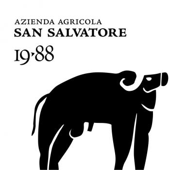 sansalvatore1988