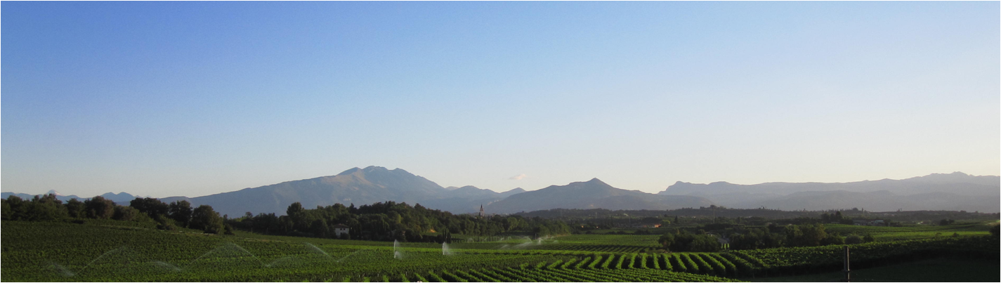 Azienda Agricola Venciu