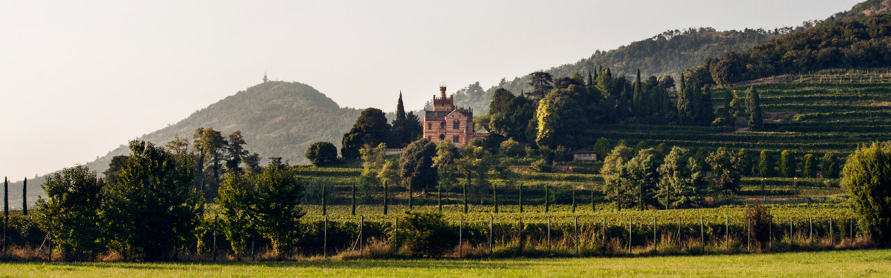 Castello Bonomi