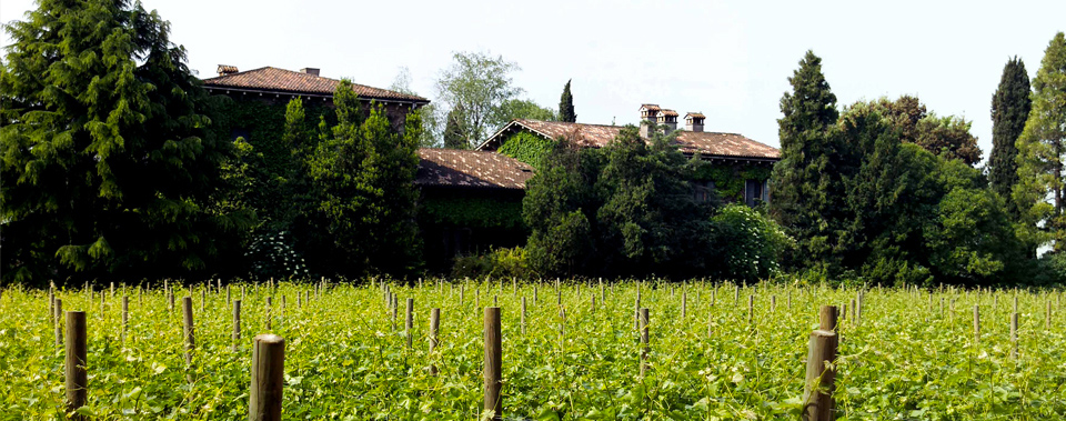 Le Vigne di San Pietro