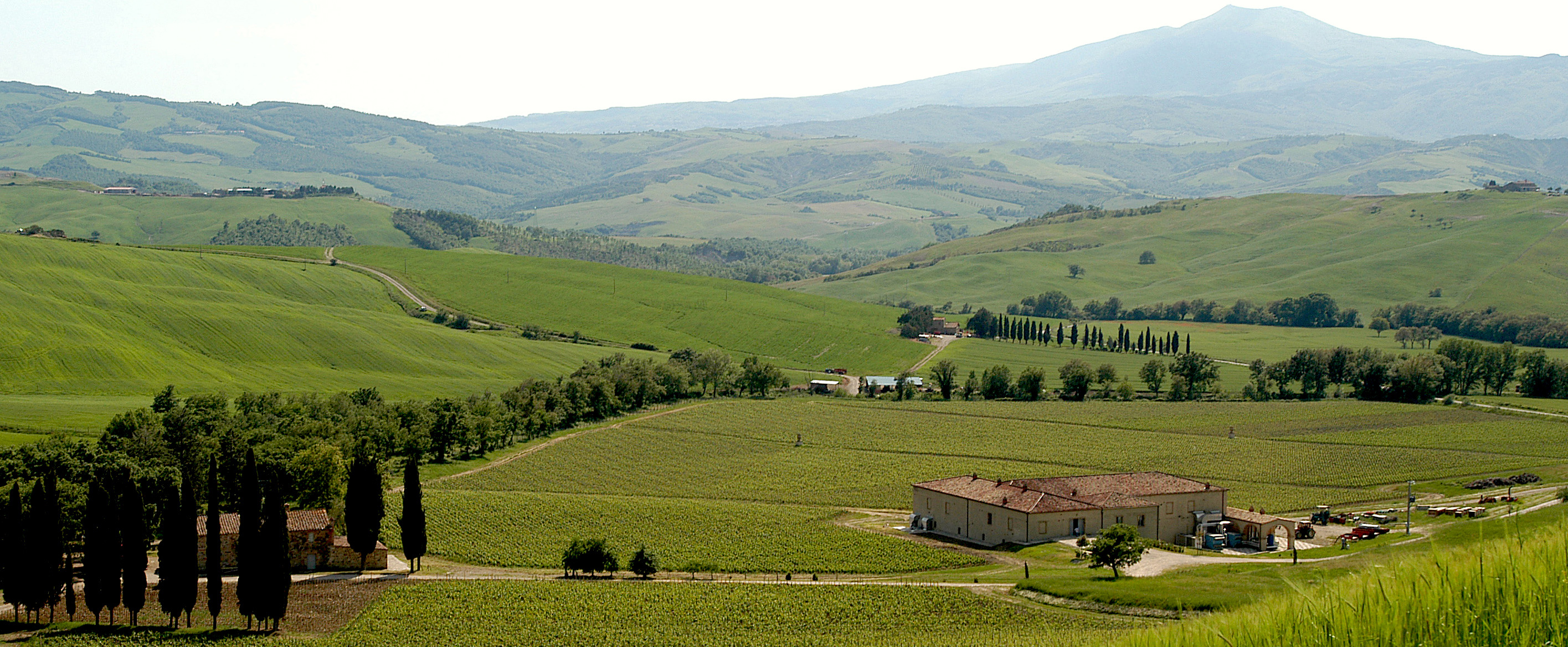 Tenuta Di Trinoro