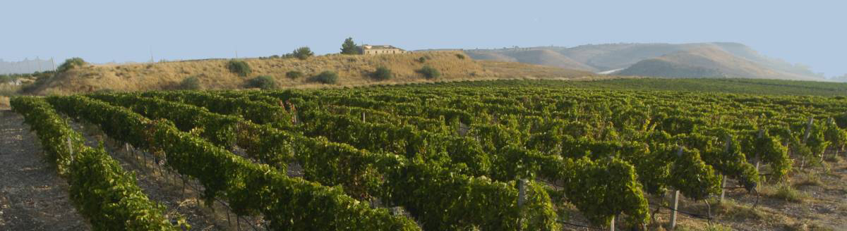 Terre Di Giurfo