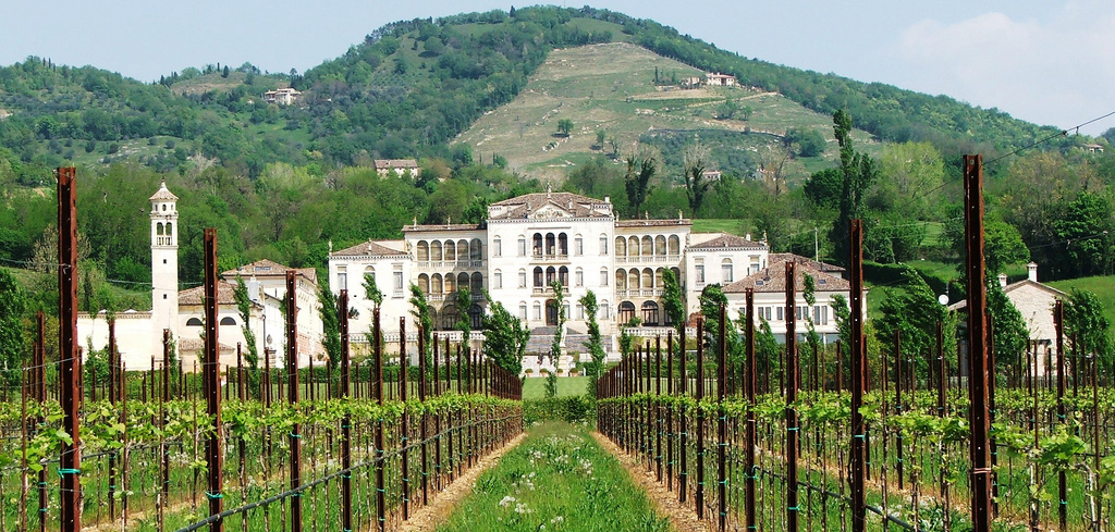 Villa Rinaldi